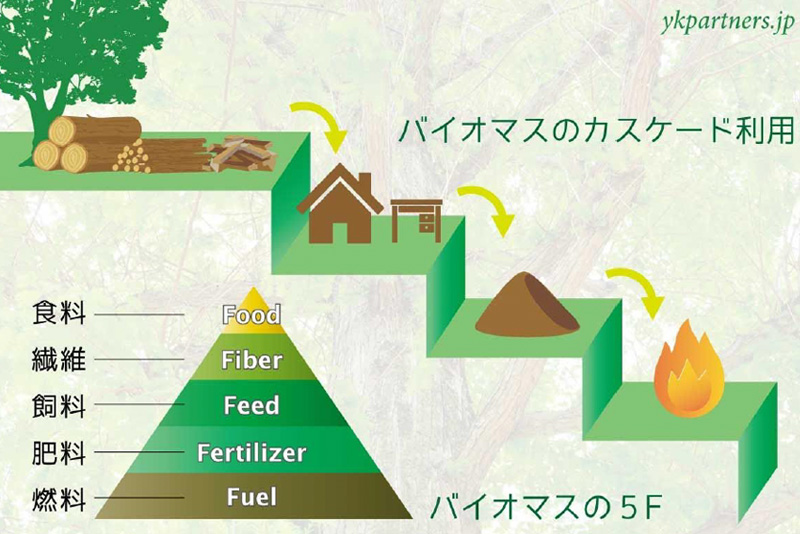 バイオマスのカスケード利用とは何か