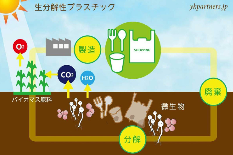 生分解性プラスチックとは何か