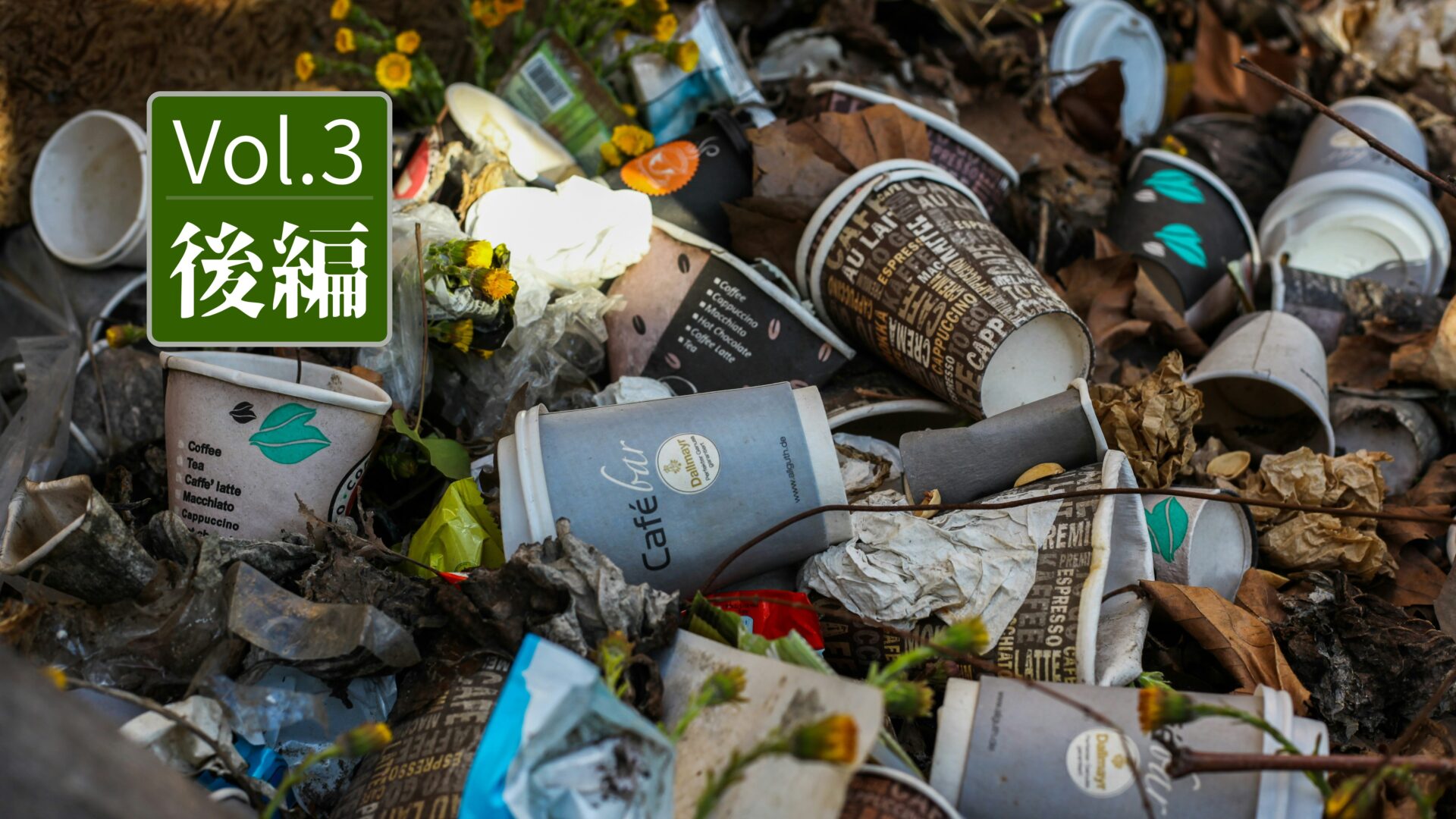 【専門家注目！】「廃棄物由来のバイオマス」で変わるエネルギーの未来とは？（後編）